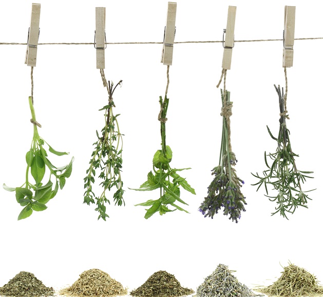 shutterstock_107067023