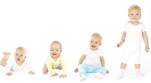 shutterstock_62377051