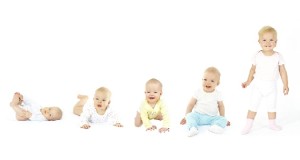 alimentatia sugarului