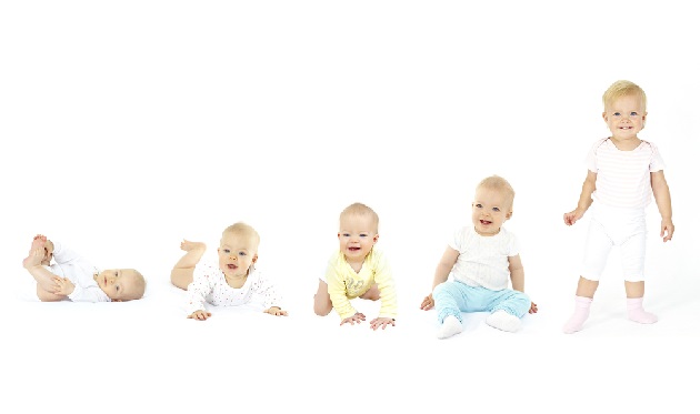 shutterstock_62377051