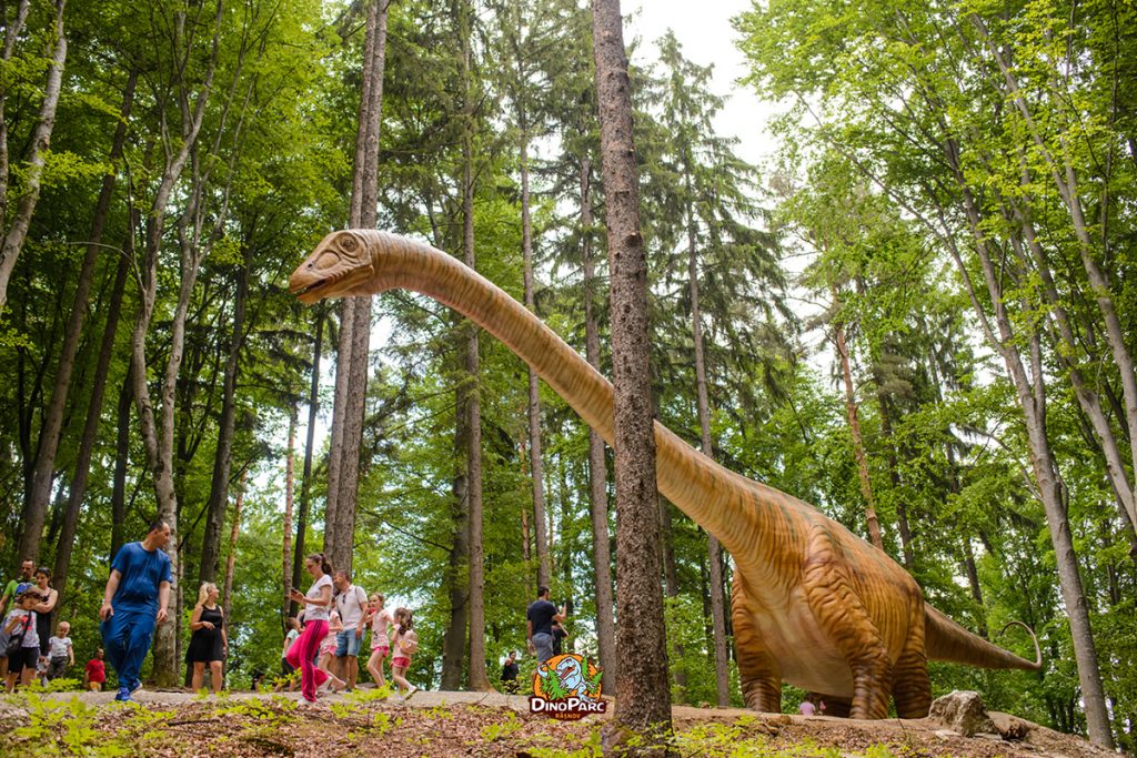 Dino Parc Rasnov

